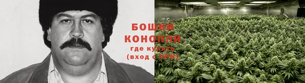 мескалин Кулебаки