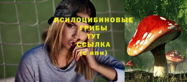 мескалин Кулебаки
