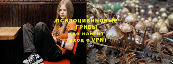бошки Кукмор