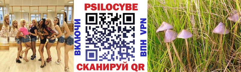 Галлюциногенные грибы ЛСД  Купить где  Заозёрный 